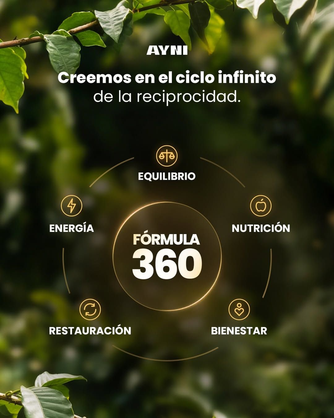 CAPUCCINO CAPUCCI 360 AYNI 7 EN 1 ENERGÍA - ENFOQUE 140GR